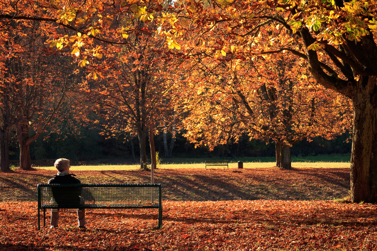 Herbst II