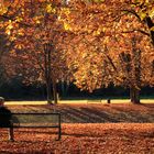Herbst II