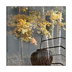 Herbst-Ikebana