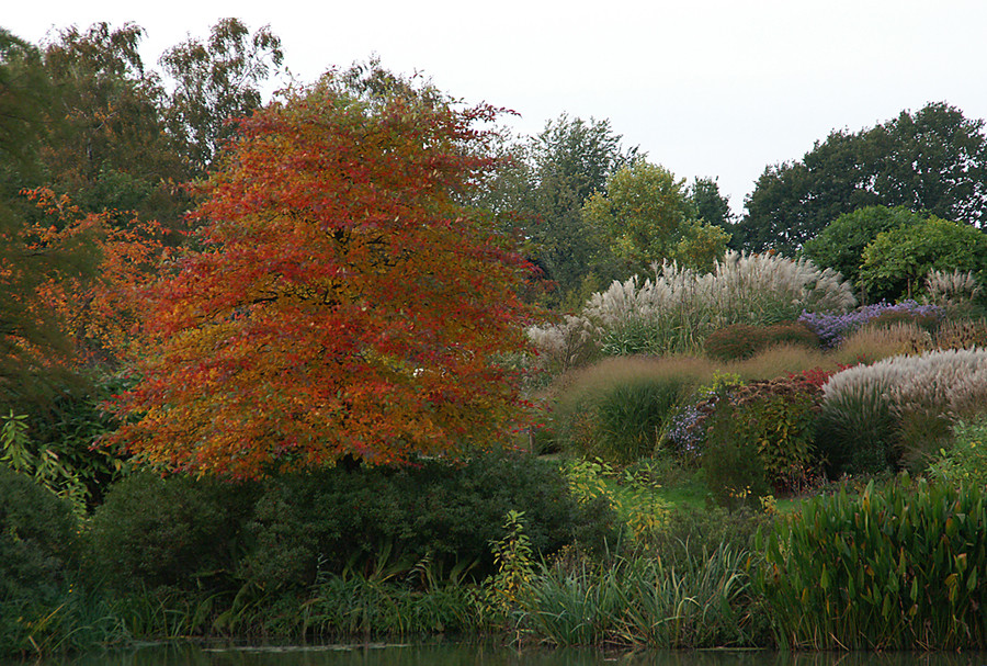 Herbst im...