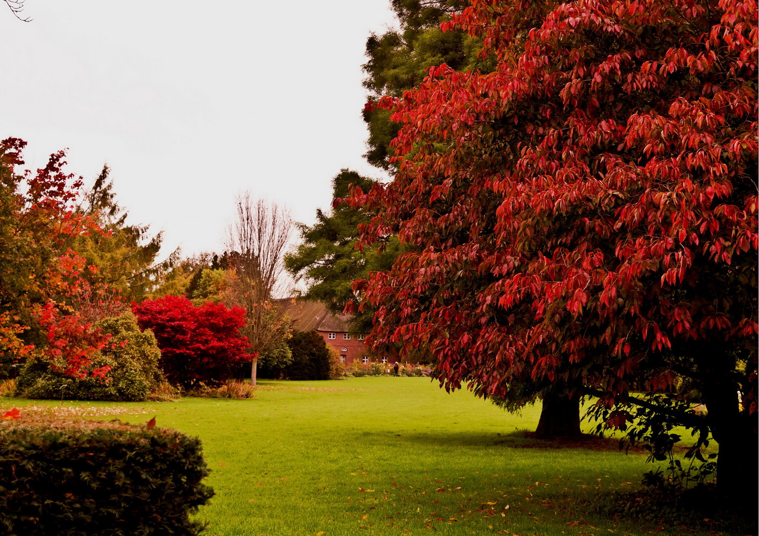 Herbst im Aboretum 1