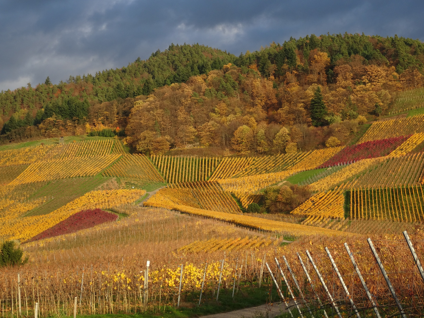 Herbst im Affental/Bühl