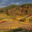 Herbst im Affental/Bühl