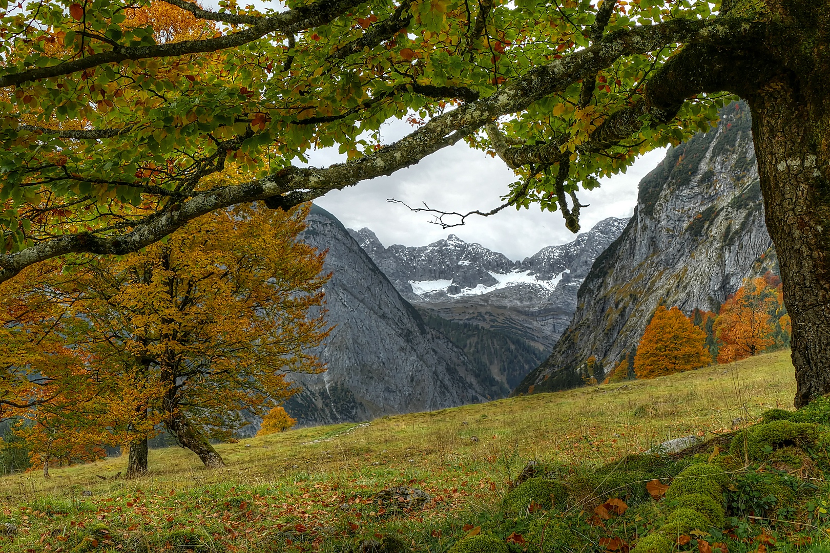 Herbst im Ahornboden