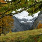 Herbst im Ahornboden