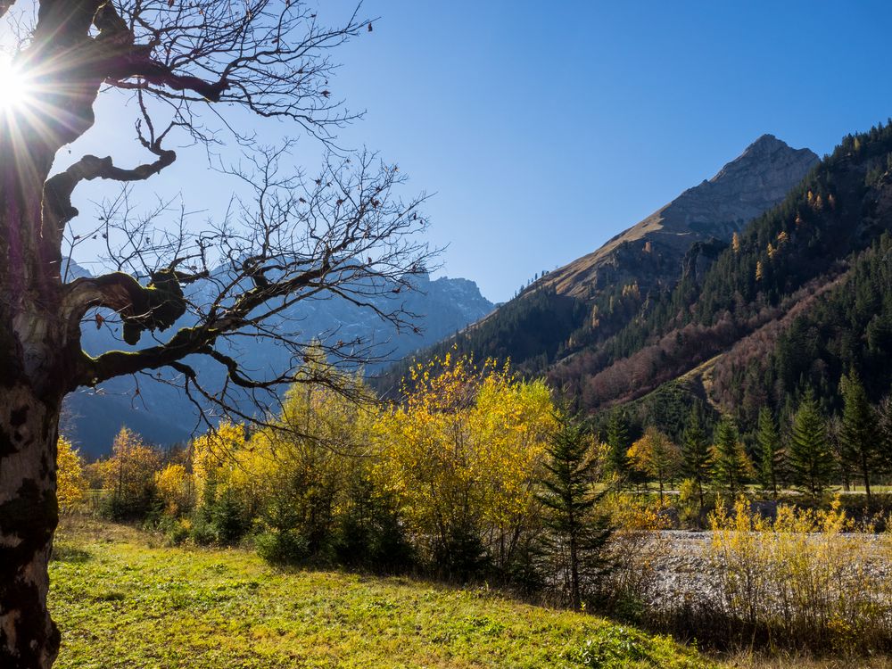 Herbst im Ahornboden 1