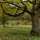 Herbst im Ahornboden