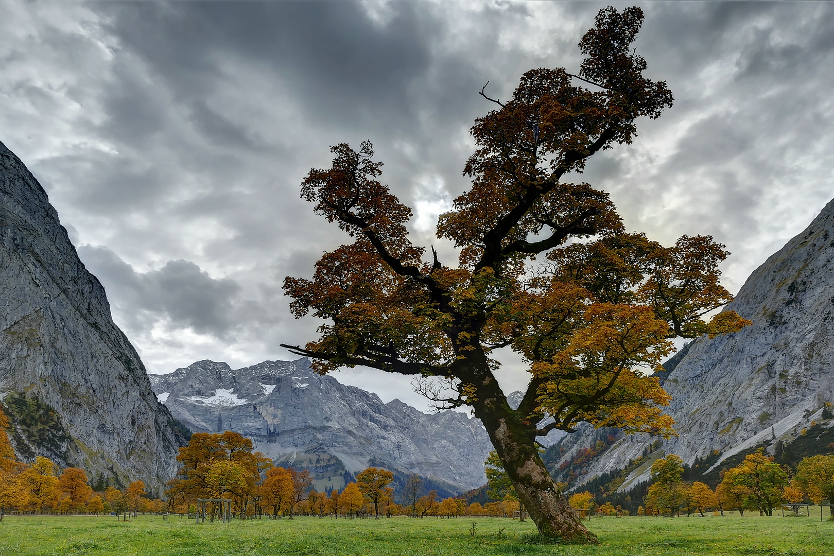 Herbst im Ahornboden