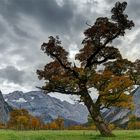 Herbst im Ahornboden