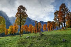 Herbst im Ahornboden