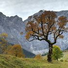 Herbst im Ahornboden