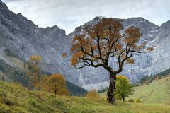 Herbst im Ahornboden