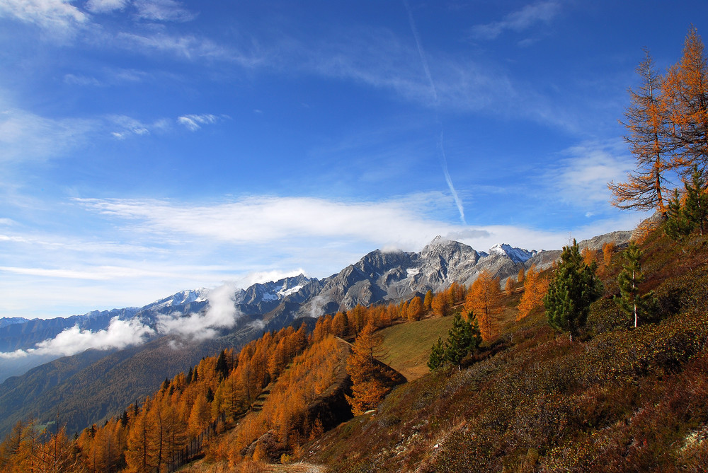 Herbst im Ahrntal 2