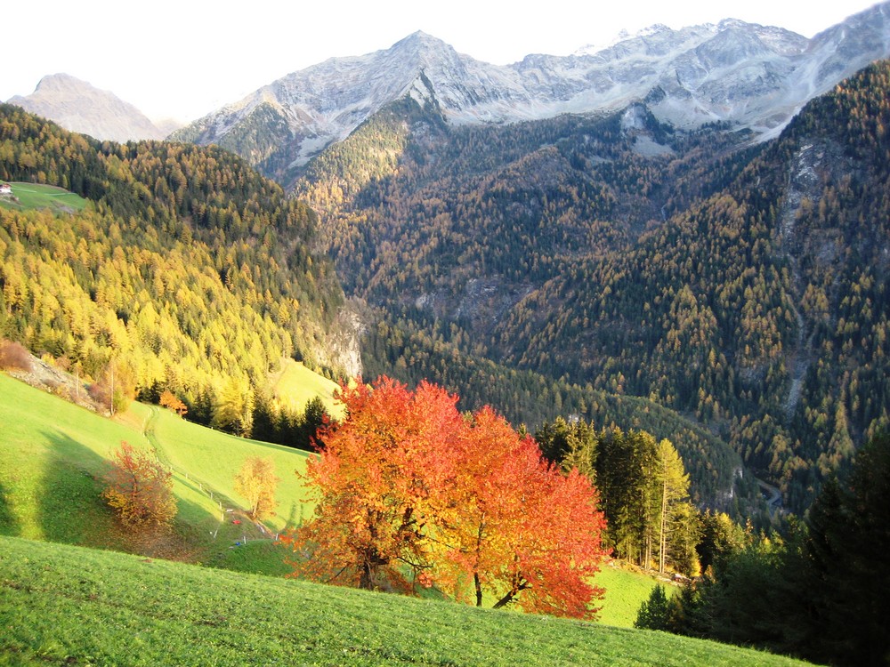 Herbst im Ahrntal - Süd Tirol