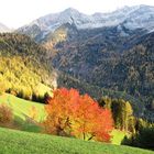 Herbst im Ahrntal - Süd Tirol