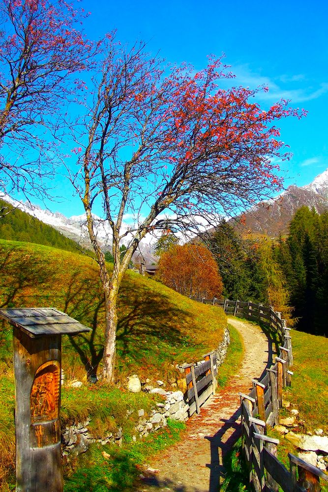 Herbst im Ahrntal-Südtirol von robihaas 