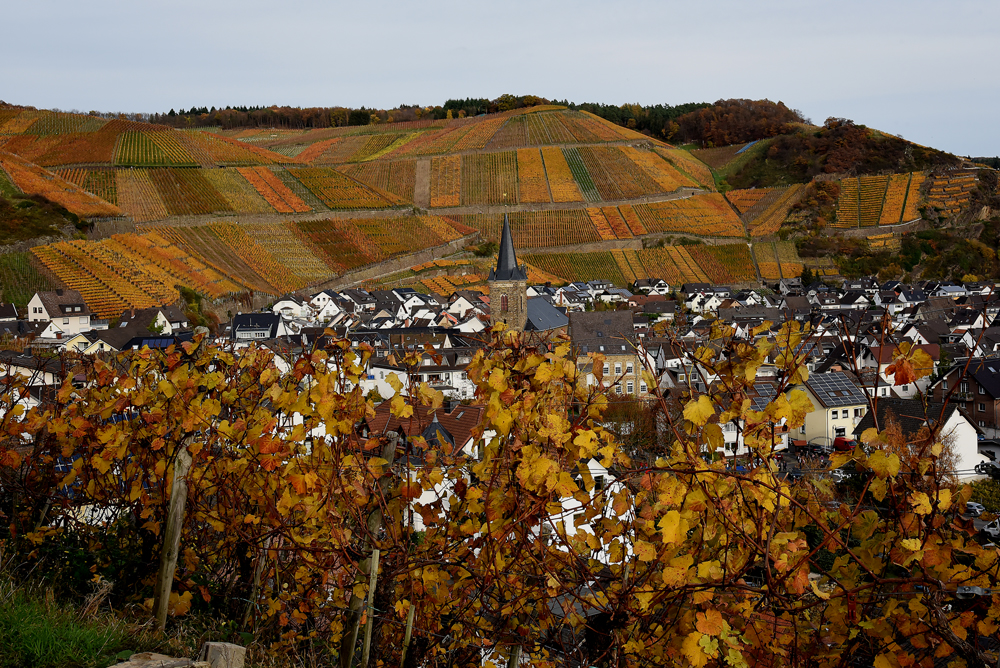 Herbst im Ahrtal