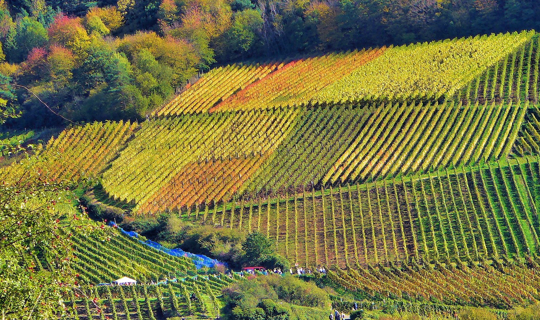 Herbst im Ahrtal