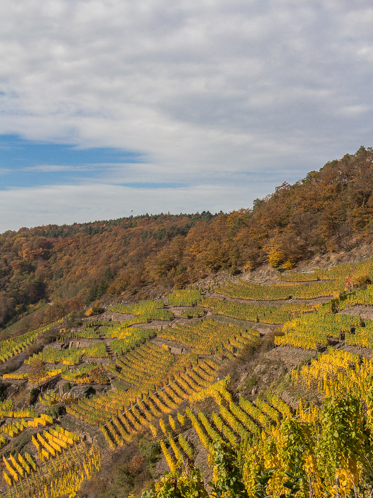 Herbst im Ahrtal II