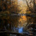 Herbst im Albtal