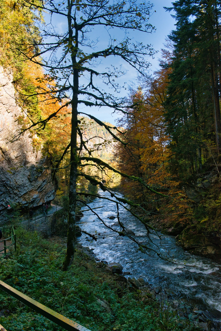 Herbst im Allgäu 1