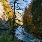 Herbst im Allgäu 1