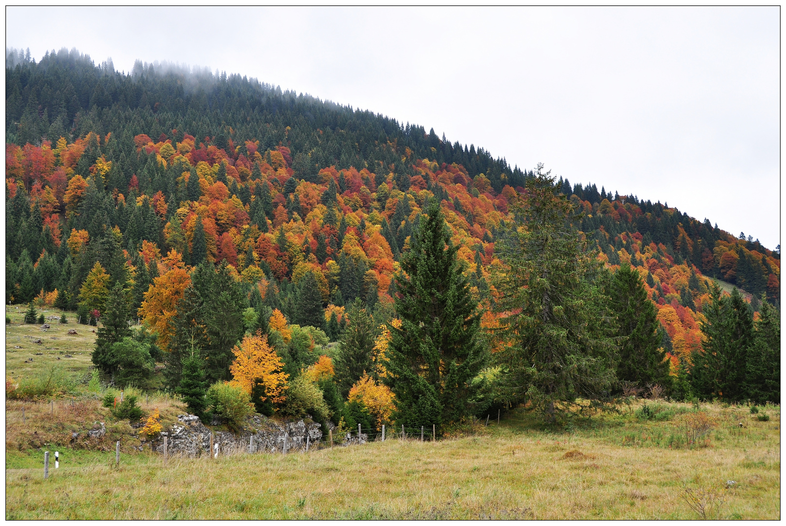 Herbst im Allgäu (2)