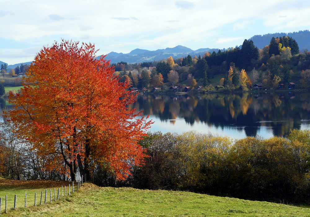 Herbst im Allgäu