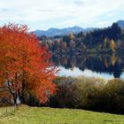 Herbst im Allgäu