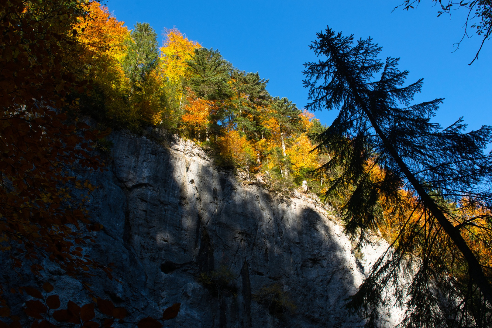 Herbst im Allgäu 3