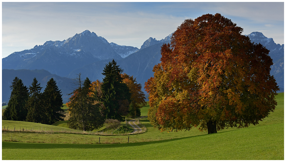 Herbst im Allgäu