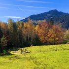 Herbst im Allgäu