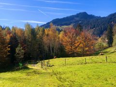 Herbst im Allgäu