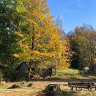 Herbst im Allgäu