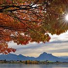 Herbst im Allgäu