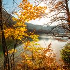 Herbst im Allgäu