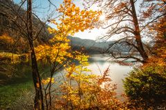 Herbst im Allgäu