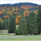 Herbst im Allgäu