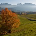 Herbst im Allgäu