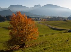 Herbst im Allgäu