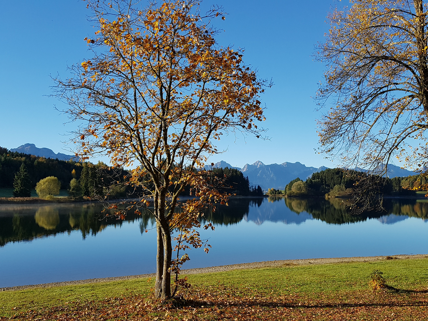 Herbst im Allgäu