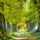 Herbst im Allgäu