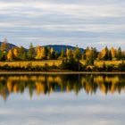 Herbst im Allgäu II