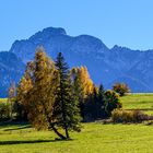 Herbst im Allgäu III