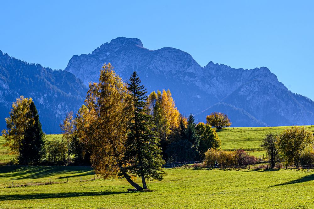 Herbst im Allgäu III