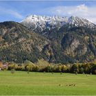 Herbst im Allgäu, Iseler