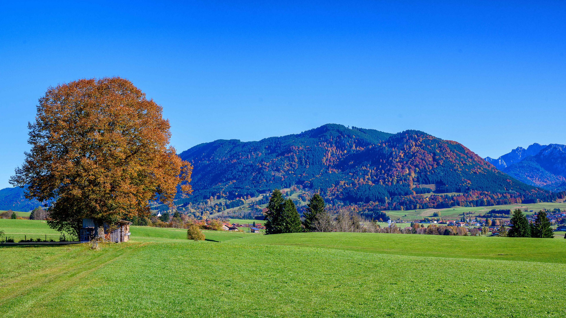 Herbst im Allgäu IV