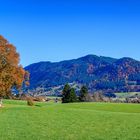 Herbst im Allgäu IV