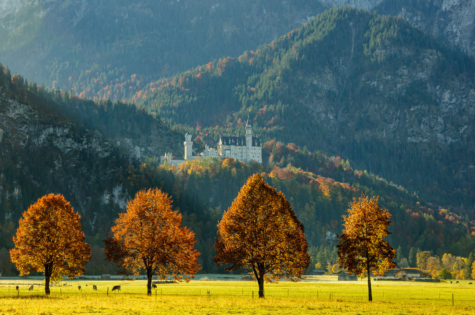 Herbst im Allgäu V