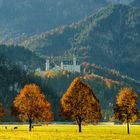 Herbst im Allgäu V